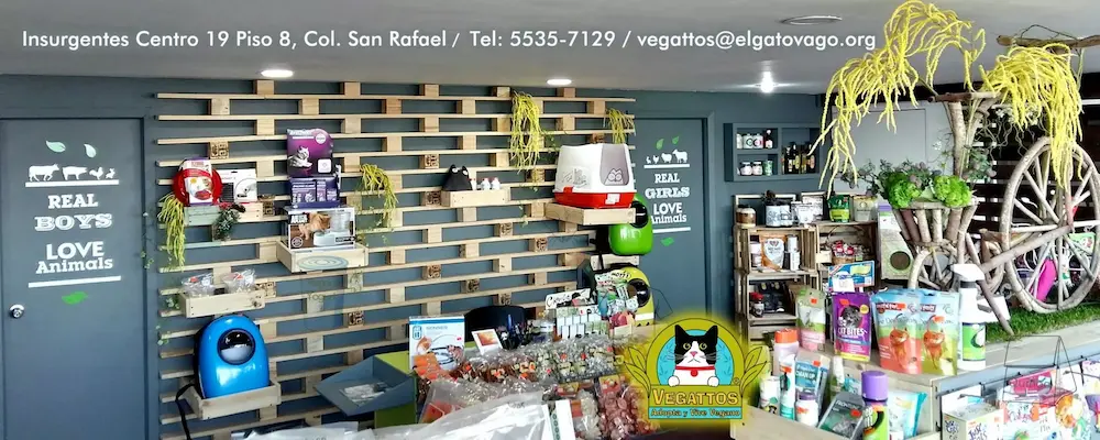 tienda de accesorios para gatos